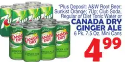 Bravo Supermarkets CANADA DRY GINGER ALE offer