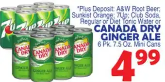 Bravo Supermarkets CANADA DRY GINGER ALE offer