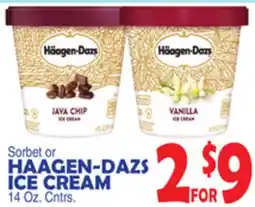 Bravo Supermarkets HAAGEN-DAZS ICE CREAM offer
