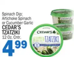 Bravo Supermarkets CEDAR'S TZATZIKI offer