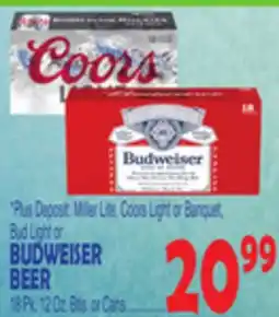 Bravo Supermarkets BUDWEISER BEER offer