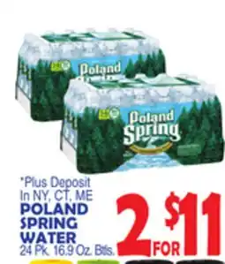 Bravo Supermarkets POLAND SPRING WATER offer