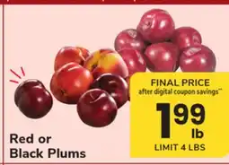 ACME Red or Black Plums offer