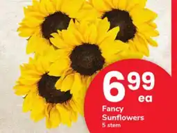 ACME Fancy Sunflowers offer