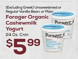 DeCicco & Sons Forager Organic Cashewmilk Yogurt offer