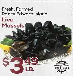 DeCicco & Sons Live Mussels offer