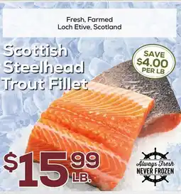 DeCicco & Sons Scottish Steelhead Trout Fillet offer