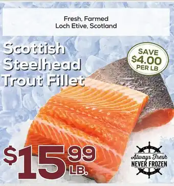 DeCicco & Sons Scottish Steelhead Trout Fillet offer