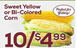 DeCicco & Sons Sweet Yellow or Bi-Colored Corn offer