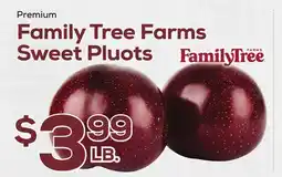 DeCicco & Sons Premium Family Tree Farms Sweet Pluots offer