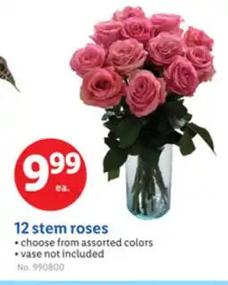 Lidl 12 stem roses offer