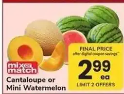 Safeway Cantaloupe or Mini Watermelon offer