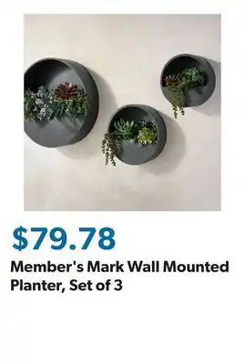 Sam's Club Member's Mark Wall Mounted Planter, Set of 3 offer