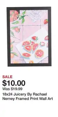 TJ Maxx 18x24 Juicery By Rachael Nerney Framed Print Wall Art offer