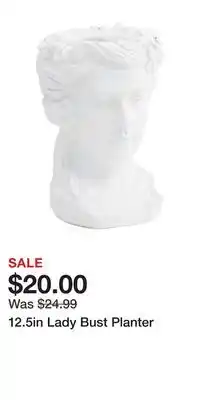 TJ Maxx 12.5in Lady Bust Planter offer