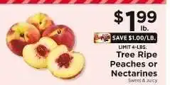ShopRite Tree Ripe Peaches or Nectarines offer