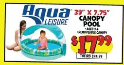 Ollie's 39 X 7.75 CANOPY POOL offer