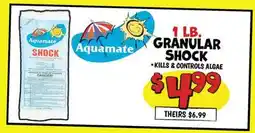 Ollie's 1 LB. GRANULAR SHOCK offer