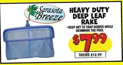 Ollie's HEAVY DUTY DEEP LEAF RAKE offer