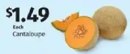 Aldi Cantaloupe offer