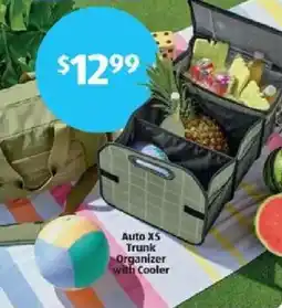 Aldi Auto xs trunk organizer with cooler offer