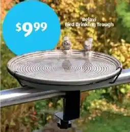 Aldi Belavi Bird Drinking Trough offer