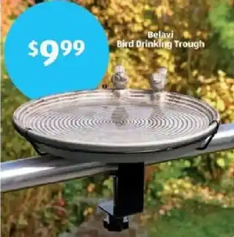 Aldi Belavi Bird Drinking Trough offer
