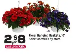 Grocery Outlet Hanging Baskets, 10 offer