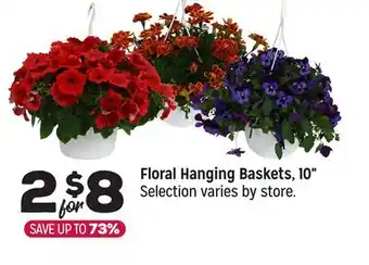 Grocery Outlet Hanging Baskets, 10 offer