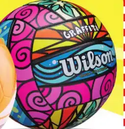 Big 5 Wilson Graffiti Volleyball offer
