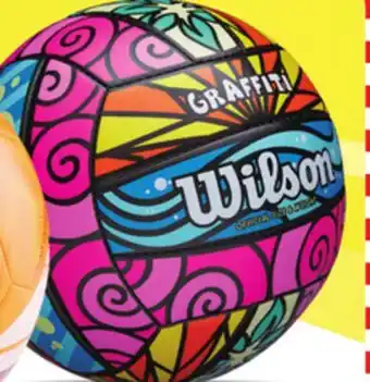 Big 5 Wilson Graffiti Volleyball offer