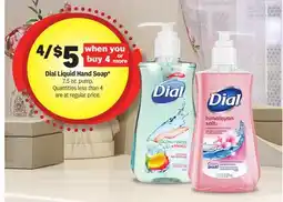 Meijer Dial Liquid Hand Soap offer