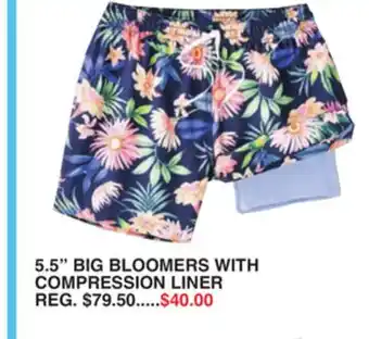 Dunham's Sports 5.5 BIG BLOOMERS WITH COMPRESSION LINER offer