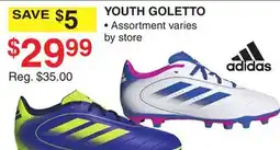 Dunham's Sports ADIDAS YOUTH GOLETTO offer