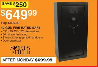Dunham's Sports 42 GUN FIRE RATED SAFE offer