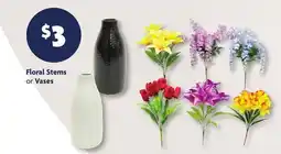 Family Dollar Floral Stems or Vases offer