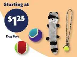 Family Dollar Dog Toys offer
