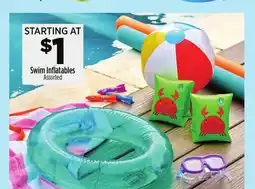 Dollar General Swim Inflatables offer