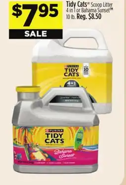 Dollar General Tidy Cats Scoop Litter 4 in 1 or Bahama Sunset TM 10 lb offer