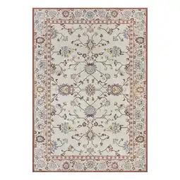 Walmart Better Homes & Gardens 7’ x 10’ Arabella Persian Outdoor Rug offer