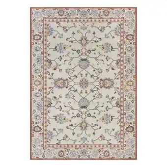Walmart Better Homes & Gardens 7’ x 10’ Arabella Persian Outdoor Rug offer