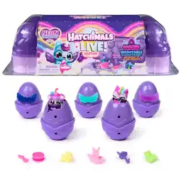 Walmart Hatchimals Alive, Neon Rainbow Egg Carton with 5 Color Reveal Eggs, 11 Accessories offer