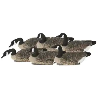 Walmart GHG Pro Grade XD Canada Floaters Harvester Decoys 6 Pack offer