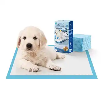 Walmart Tolobeve Training Pads, Dog & Puppy Pads,S, 13x18 in, 66 Count,Disposable Small Dog Pee Pads offer