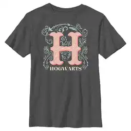 Walmart Boy's Harry Potter Decorative Hogwarts Symbol Graphic Tee Charcoal Heather X Large offer