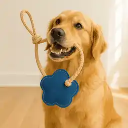 Walmart Pawpourri Flower Suede and Rope Chew Toy for Dogs, Blue Floral, 1-Piece offer