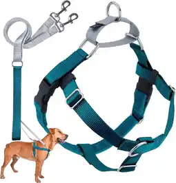 Walmart 2 Hounds Design Freedom No-Pull Dog Harness Training Package with Leash, Teal Medium (1 wide) offer