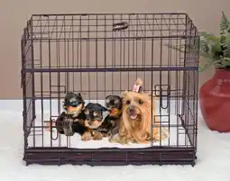 Walmart Lucky Dog Sliding Double Door Dog Crate, X-Small, 24L offer