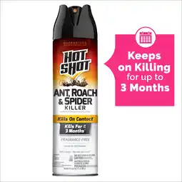 Walmart Hot Shot Ant, Roach & Spider Killer, Unscented Fragrance-Free Formula, 17.5 oz offer