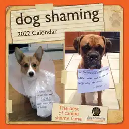 Walmart Andrews Mcmeel 2022 Dog Shaming 12 x 12 Wall Calendar offer